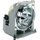Total Micro Replacement Lamp - 230 W Projector Lamp - 4000 Hour Normal, 6000 Hour Economy Mode RLC-049-TM