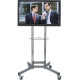 Avteq RPS-200 Display Stand - 22" to 52" Screen Support - 225 lb Load Capacity - 62" Height x 23" Width x 25" Depth - Steel - TAA Compliance RPS-200