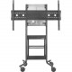 Avteq DynamiQ RPS-500 - Up to 70" Screen Support - 198 lb Load Capacity - 74" Height x 62" Width x 30" Depth - Floor - Powder Coated - Steel - Black - TAA Compliance RPS-500-BB-CSB70B