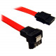 Bytecc SATA Cable - 1.50 ft SATA Data Transfer Cable - First End: 1 x 7-pin Male SATA - Second End: 1 x Male SATA - Red SATA-118D