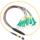 Fluke Networks Fiber Optic Network Cable - 3.28 ft Fiber Optic Network Cable for Network Device - First End: 1 x MPO/APC Network - Second End: 12 x LC/APC Male Network SBKC-MPOAPCU-LCAP
