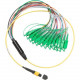 Fluke Networks 1 m Breakout Cord for SM MPOAPC Unpinned SCAPC Connector - 3.28 ft Fiber Optic Network Cable for Network Device - MPO/APC Network - SC/APC Network - 1 Pack SBKC-MPOAPCU-SCAPC