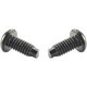 Panduit Mounting Screws - Screw - 100 / Pack - TAA Compliance SCREWM6-C