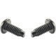 Panduit Mounting Screws - Screw - 100 / Pack - TAA Compliance SCREWM6-C