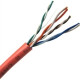 Weltron Cat.5e UTP Cable - 1000 ft Category 5e Network Cable for Network Device - First End: 1 x RJ-45 Male Network - Second End: 1 x RJ-45 Male Network - Patch Cable - Orange T2404L5EP-OR