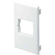 Panduit Faceplate - 1-gang - Electric Ivory - Polyvinyl Chloride (PVC) - TAA Compliance T70B1EI