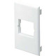 Panduit Faceplate - 1-gang - White - Polyvinyl Chloride (PVC) - TAA Compliance T70B1WH