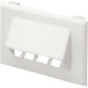 Panduit Faceplate - 1-gang - Electric Ivory - Polyvinyl Chloride (PVC) - TAA Compliance T70FH4EI