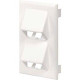 Panduit Faceplate - 1-gang - White - Polyvinyl Chloride (PVC) - TAA Compliance T70FV4WH