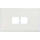 Panduit T70 Horizontal Snap-on Faceplate for SYSTIMAX Communication Modules - 2 Port - 2 x Total Number of Socket(s) - White - TAA Compliance T70L2WH