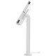 Compulocks Brands Inc. MacLocks The Rise Executive iPad Kiosk - iPad Stand with Cable Management - White TCDP01W213EXENW