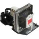 Ereplacements Compatible Projector Lamp Replaces Toshiba TLP-LW5 - Fits in Toshiba TDP-S80U, TDP-S81, TDP-S81U, TDP-SW80, TDP-SW80U, TLP-S80, TLP-S80U, TLP-S81, TLP-S81U TLP-LW5-ER