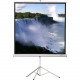 Hamilton Buhl 70.7" Projection Screen - Front Projection - 1:1 - Matte White - 50" x 50" TPS-T50