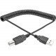 Tripp Lite 6ft Hi-Speed USB 2.0 to USB B Cable Coiled USB A-B M/M 6&#39;&#39; - USB for Scanner, Notebook, Printer - 60 MB/s - 6 ft - 1 x Type A Male USB - 1 x Type B Male USB - Nickel Plated - Shielding - Black U022-006-COIL