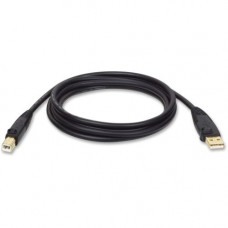 Tripp Lite 6ft USB Cable Hi-Speed Gold Shielded USB 2.0 A/B Male / Male - Type A Male USB - Type B Male USB - 6ft - TAA Compliance U022-006