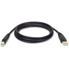 Tripp Lite 10ft USB 2.0 Hi-Speed A/B Device Cable Shielded M/M - Type A Male USB - Type B Male USB - 10ft - TAA Compliance U022-010