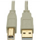 Tripp Lite 10ft USB 2.0 Hi-Speed A/B Cable M/M 28/24 AWG 480 Mbps Beige 10&#39;&#39; - USB for Scanner, Notebook, Printer - 60 MB/s - 10.17 ft - 1 x Type A Male USB - 1 x Type B Male USB - Gold-plated Contacts, Gold Plated - Shielding - Beige U022