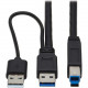 Tripp Lite USB Active Repeater Cable - USB-A to USB-B (M/M), USB 3.2 Gen 1, 25 ft. (7.6 m) - 25 ft USB/USB-B Data Transfer Cable for Computer, Printer, Scanner, PC, Notebook, Optical Drive, Hard Disk Drive Enclosure, Monitor, Wall Outlet - First End: 1 x 
