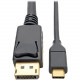 Tripp Lite USB C to DisplayPort Adapter Converter Cable, 4K @ 60Hz, Thunderbolt 3, , USB Type C, USB-C, USB Type-C, 3ft 3&#39;&#39; - DisplayPort/USB for Smartphone, Chromebook, Projector, Monitor, Notebook, Tablet, MacBook, Audio/Video Device - 6