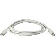 Black Box USB 2.0 A to B Cable - Type A Male USB - Type B Male USB - 6ft USB05-0006