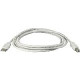 Black Box USB 2.0 A to B Cable - Type A Male USB - Type B Male USB - 6ft USB05-0006