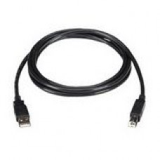 Black Box USB 2.0 A to Mini B Cable - Type A Male USB - Mini Type B Male USB - 6ft USB06-0006
