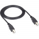 Black Box USB 2.0 Cable - Type B Male to Type B Male, Black, 16-ft. (4.8-m) - 16 ft USB Data Transfer Cable - First End: 1 x Type B Male USB - Second End: 1 x Type B Male USB - 480 Mbit/s - Shielding - 28 AWG - Black USB08-0016