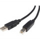 Startech.Com 1 ft USB 2.0 A to B Cable - M/M - Type A Male USB - Type B Male USB - 1ft - Black USB2HAB1