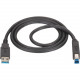 Black Box USB 3.0 Cable - Type A Male to Type B Male, Black, 10-ft. (3.0-m) - 10 ft USB/USB-B Data Transfer Cable for Dock, Notebook, Multimedia Device, Hard Drive - First End: 1 x Type A Male USB - Second End: 1 x Type B Male USB - 4.8 Gbit/s - Black USB