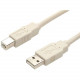 Startech.Com 6 ft Beige A to B USB Cable - M/M - USB - 6 ft - 1 x Type A Male - 1 x Type B Male USBFAB-6