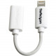 Startech.Com White Micro USB to Apple 8-pin Lightning Connector Adapter for iPhone / iPod / iPad - 4" Lightning/USB Data Transfer Cable for iPhone, iPod, iPad, Notebook - First End: 1 x Lightning Male Proprietary Connector - Second End: 1 x Type B Fe