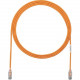 Panduit Cat.6 U/UTP Patch Network Cable - 2 ft Category 6 Network Cable for Network Device - First End: 1 x RJ-45 Male Network - Second End: 1 x RJ-45 Male Network - Patch Cable - 28 AWG - Clear, Orange - 25 UTP28SP2OR-Q