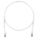 PANDUIT Cat.5e Patch Cable - RJ-45 Male Network - RJ-45 Male Network - 12ft - Gray - TAA Compliance UTPCH12GYY