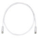 PANDUIT Cat.6 UTP Patch Cord - RJ-45 Male Network - RJ-45 Male Network - 10ft - Off-white, Clear - TAA Compliance UTPSP10Y