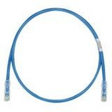 PANDUIT Cat.6 UTP Patch Cord - RJ-45 Male Network - RJ-45 Male Network - 1ft - Blue, Clear - TAA Compliance UTPSP1BUY