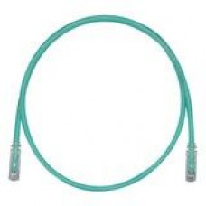 PANDUIT Cat.6 UTP Patch Cord - RJ-45 Male Network - RJ-45 Male Network - 1ft - Green, Clear UTPSP1GRY