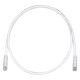 PANDUIT Cat.6 UTP Patch Cord - RJ-45 Male Network - RJ-45 Male Network - 20ft - Off-white, Clear - TAA Compliance UTPSP20Y