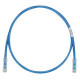 PANDUIT Cat.6 UTP Patch Cable - RJ-45 Male Network - RJ-45 Male Network - 25ft - Blue, Clear - RoHS Compliance UTPSP25BUY
