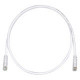 PANDUIT Cat.6 UTP Patch Cord - RJ-45 Male Network - RJ-45 Male Network - 25ft - Off-white, Clear - TAA Compliance UTPSP25Y