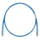 PANDUIT Cat.6 UTP Patch Cord - RJ-45 Male Network - RJ-45 Male Network - 2ft - Blue, Clear UTPSP2BUY