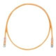 PANDUIT Cat.6 UTP Patch Cord - RJ-45 Male Network - RJ-45 Male Network - 2ft - Orange, Clear - TAA Compliance UTPSP2ORY