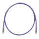 PANDUIT Cat.6 UTP Patch Cord - RJ-45 Male Network - RJ-45 Male Network - 2ft - Violet, Clear - TAA Compliance UTPSP2VLY