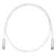 PANDUIT Cat.6 UTP Patch Cord - RJ-45 Male Network - RJ-45 Male Network - 2ft - Off-white, Clear - TAA Compliance UTPSP2Y