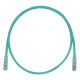 PANDUIT Cat.6 UTP Patch Cord - RJ-45 Male Network - RJ-45 Male Network - 30ft - Green, Clear - TAA Compliance UTPSP30GRY