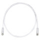 PANDUIT Cat.6 UTP Patch Cord - RJ-45 Male Network - RJ-45 Male Network - 35ft - Off-white, Clear - TAA Compliance UTPSP35Y