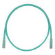 PANDUIT Cat.6 UTP Patch Cord - RJ-45 Male Network - RJ-45 Male Network - 4ft - Green, Clear - TAA Compliance UTPSP4GRY