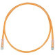 PANDUIT Cat.6 UTP Patch Cord - RJ-45 Male Network - RJ-45 Male Network - 4ft - Orange, Clear - TAA Compliance UTPSP4ORY