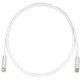 Panduit Cat.6 Patch UTP Network Cable - 50 ft Category 6 Network Cable for Network Device - First End: 1 x RJ-45 Male Network - Second End: 1 x RJ-45 Male Network - Patch Cable - Gray - 1 Pack - TAA Compliance UTPSP50GYY