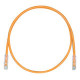 PANDUIT Cat.6 UTP Patch Cord - RJ-45 Male Network - RJ-45 Male Network - 6ft - Orange, Clear - TAA Compliance UTPSP6ORY
