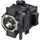 Epson ELPLP83 Replacement Projector Lamp (Portrait Mode - Single) - Projector Lamp - UHE V13H010L83